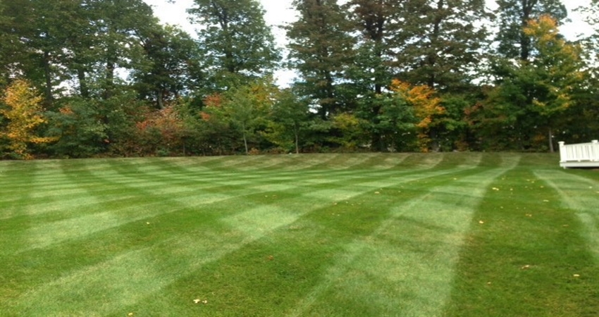 Lawn Patterns Millbury