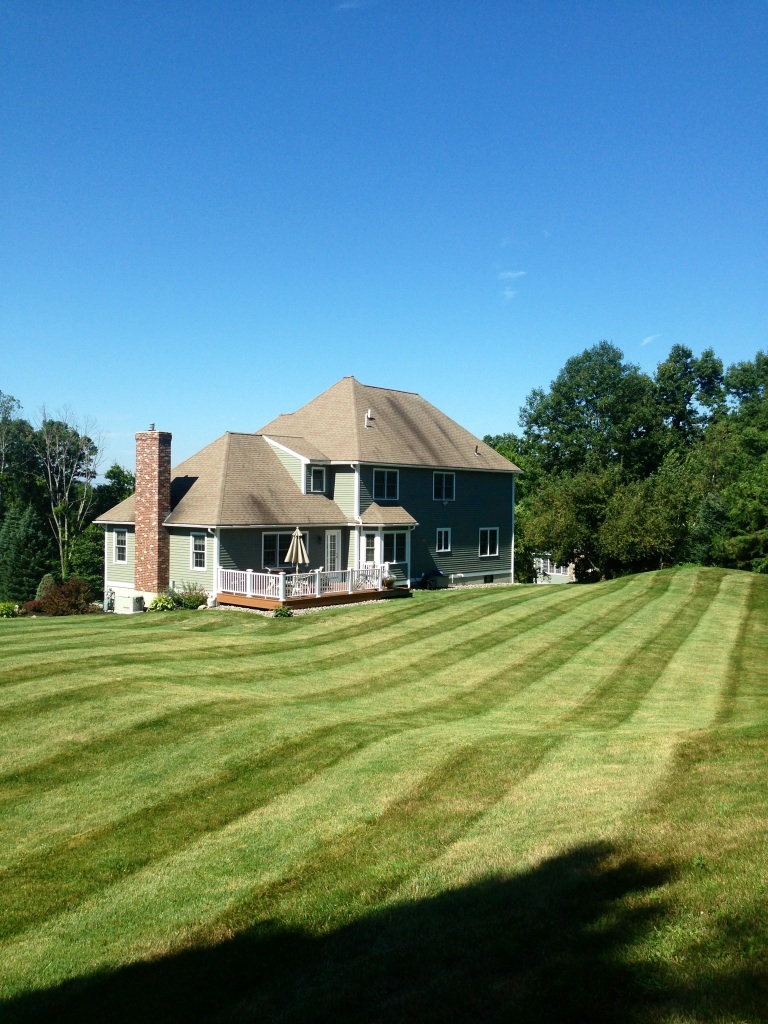 A Freshly Mowed Lawn