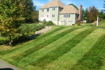 Yearly Lawn Maintenance