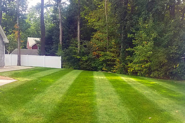 Fertilizer & Turf Renovation