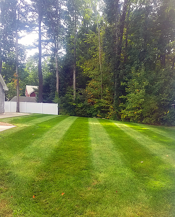 JMH Lawncare & Landscaping - Fertilizer & Turf Renovation